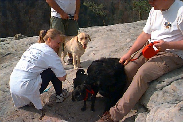 xena_dogs.jpg