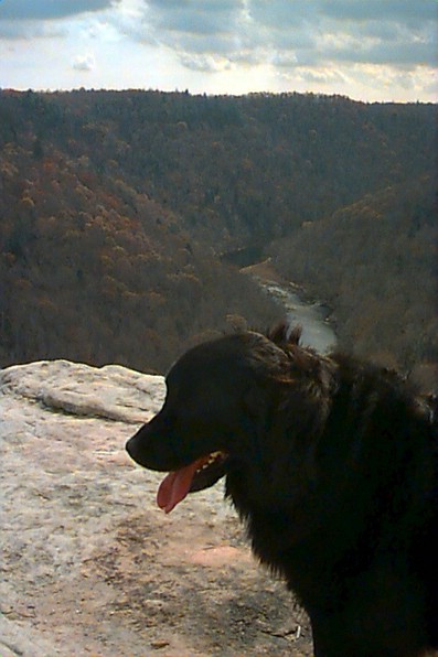 xena_view.jpg