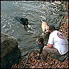 dogs_bob.jpg