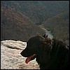 xena_view.jpg