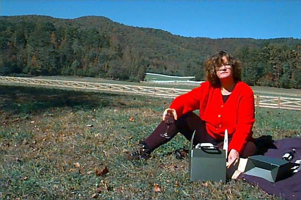 picnic2.jpg