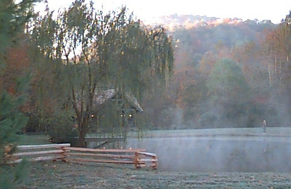 pond.jpg