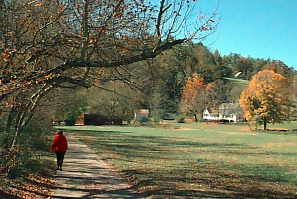 walking.jpg
