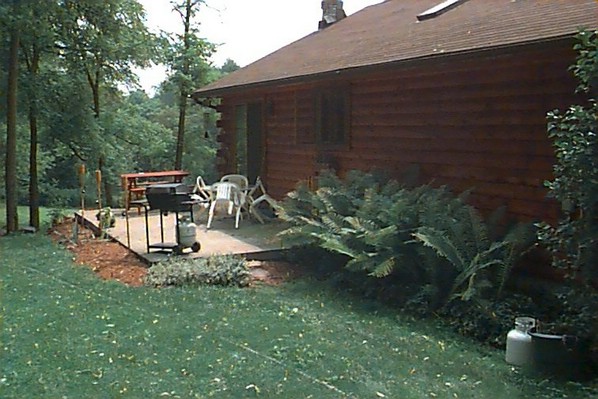 backyard.jpg