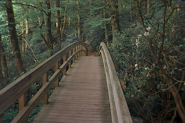 bridge.jpg