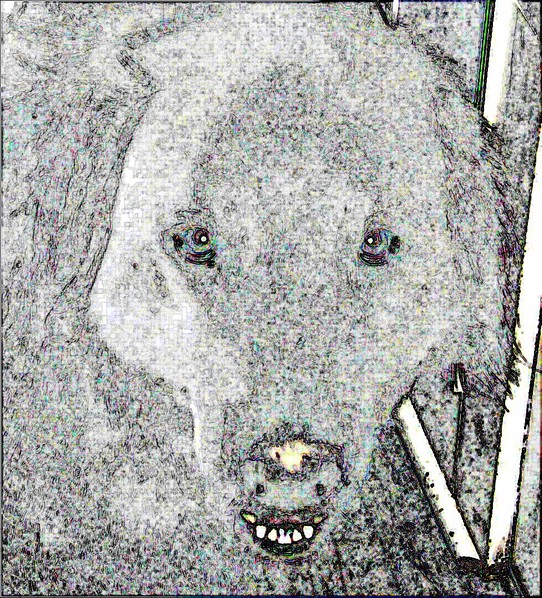 test.jpg