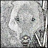 test.jpg