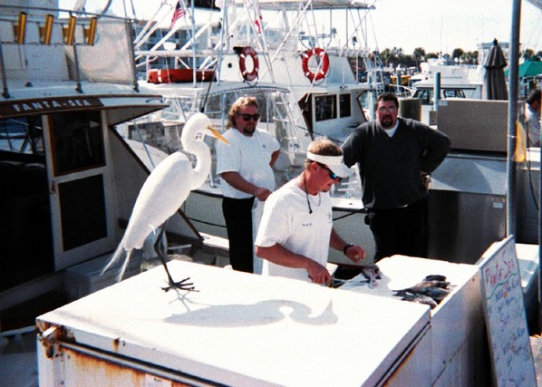 cleaning_fish.jpg