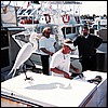 cleaning_fish.jpg