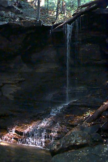 falls2.jpg
