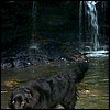 xenafalls.jpg
