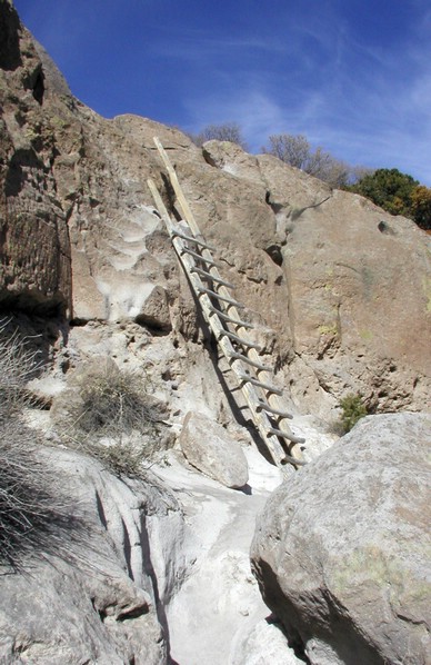 ladder_tsankawi.jpg