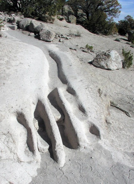 ruts.jpg
