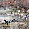 hotsprings.jpg