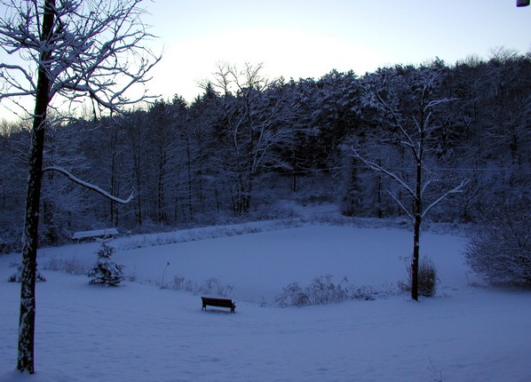 joannes_pond.jpg