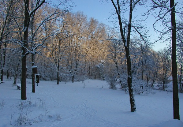 joanneyard_snow.jpg