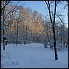 joanneyard_snow.jpg