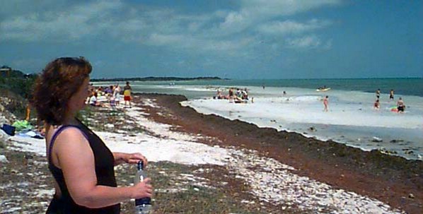 lara_beach.jpg