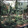 hemmingway_garden.jpg