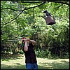 penguin_pinata2.jpg
