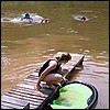 pond2.jpg