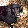 xena1.jpg