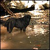 xena3.jpg