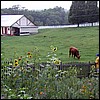 bull_barn_jeff_heather.jpg