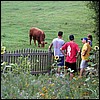 bull_benzes.jpg