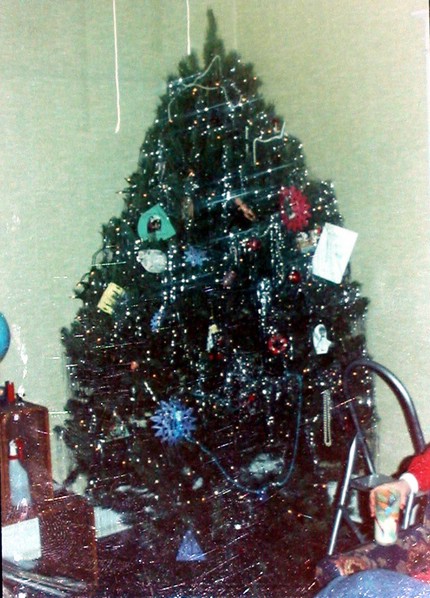 first_tree.jpg