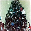 first_tree.jpg