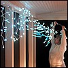 gloria_lights.jpg
