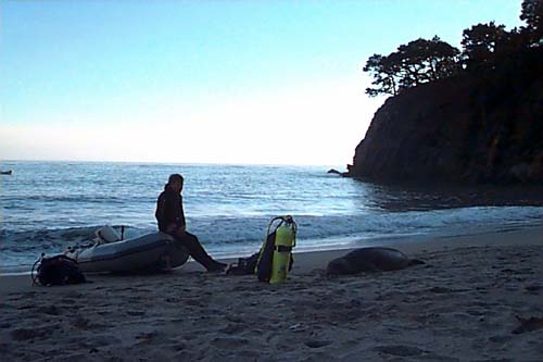 A diver rests on the beach, with a seal beside him